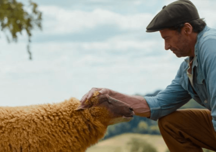 The Sheep Detectives