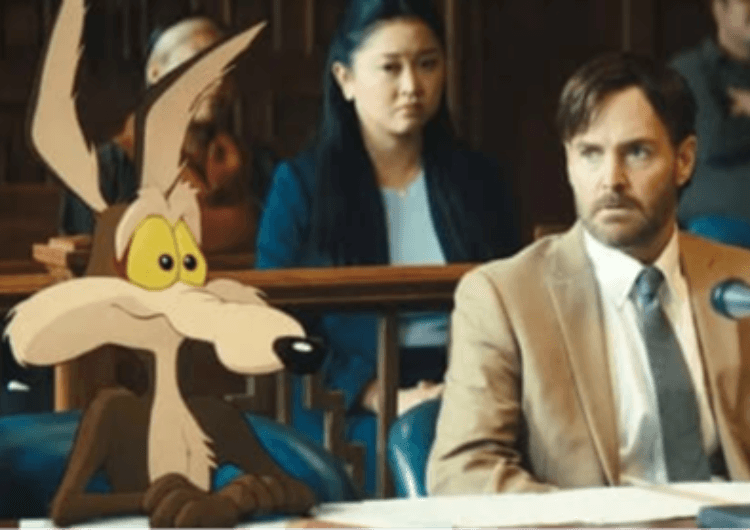 Coyote Vs ACME